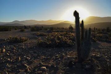 Vista del desierto de Atacama, cerca del lugar donde se construirá el proyecto minero Dominga, en La Higuera.
