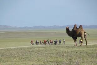 En Mongolia, con un grupo de ciclistas