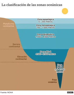 Gran parte de los fondos del océano están a profundidades de unos 4.000 a 5.500 metros