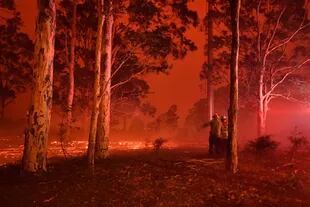 Miles de bomberos luchan contra las llamas