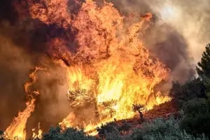 Encuentran 18 cuerpos carbonizados en una zona arrasada por los incendios en Grecia