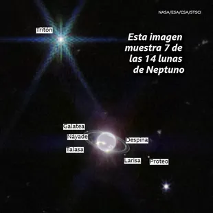 Seven of Neptune's 14 moons