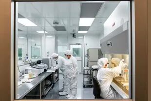Científicos con cultivos de células en las instalaciones de investigación y desarrollo de Pfizer.