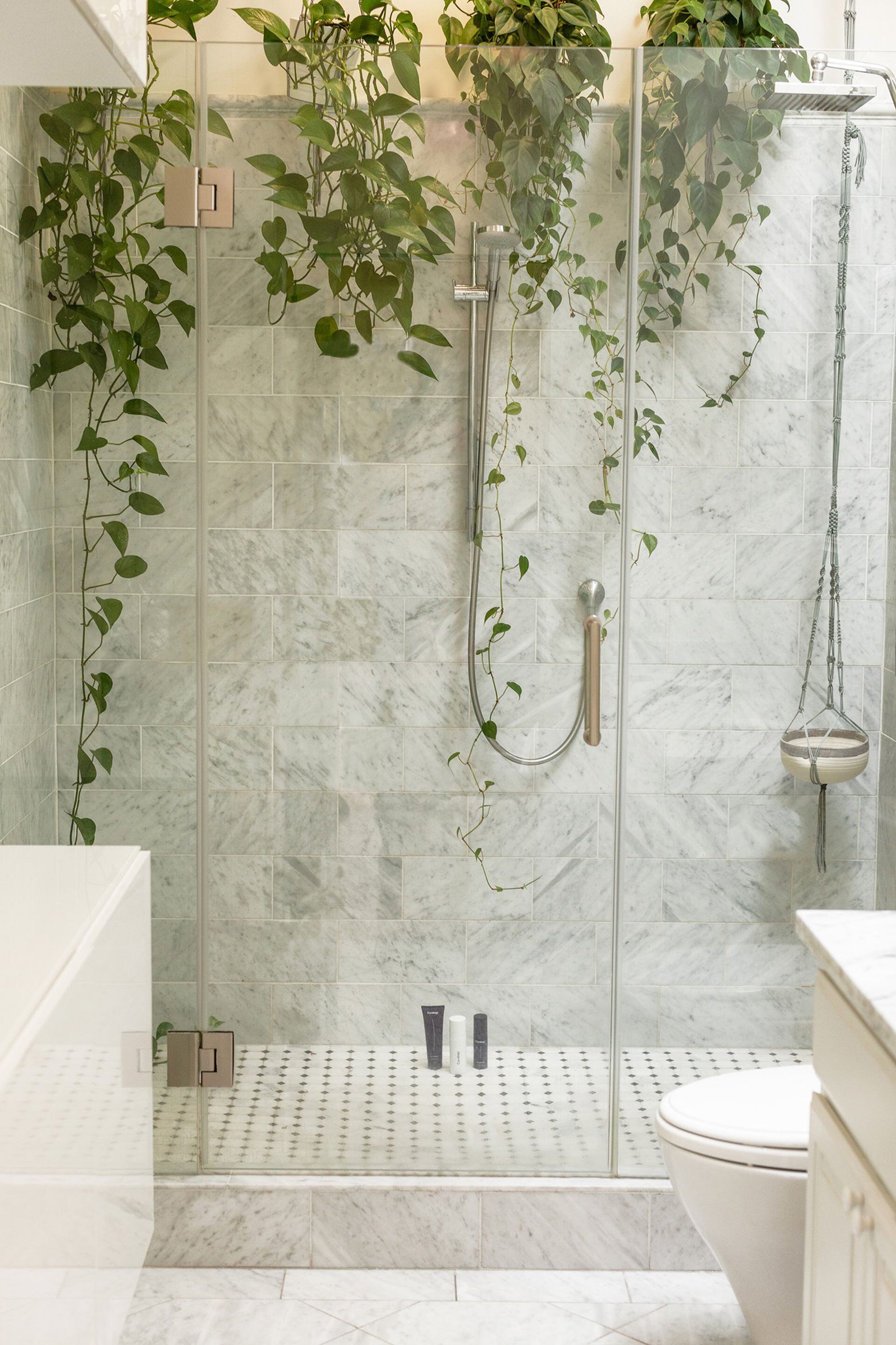 Una "catarata" de potus de distintas alturas dentro del cuarto de ducha
