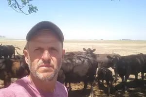 El drama de los productores ganaderos del oeste bonaerense que deben tomar una difícil decisión