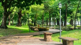 Los parques pueden mejorar los niveles de salud de los habitantes