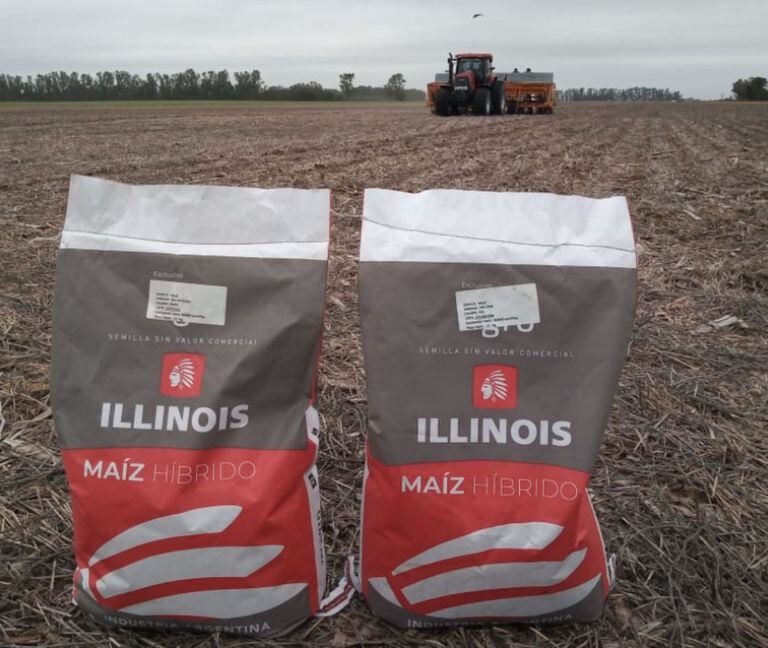 La red YPF Agro tiene la distribución exclusiva de los maíces Illinois.
