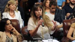 Juliana Di Tullio fue una de las voces principales del FPV en el debate de la comisión