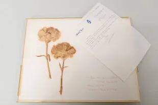 Una carta de 1973 de Tennessee Williams, con un collage de flores secas que le dedicó a Didion