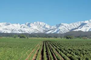 Hay otras 4 de Mendoza y una de Salta en el top 50 de World’s Best Vineyards