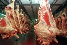 Generalizado rechazo a una norma que podría trabar las exportaciones de carne