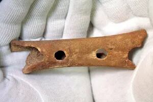 Así suena el instrumento más antiguo del mundo, fabricado por un neandertal hace 50.000 años
