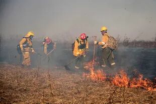 Detrás de los incendios está el modelo de producción agrícola y ganadera que a partir de los años 90 transformó el ecosistema de las islas del Paraná