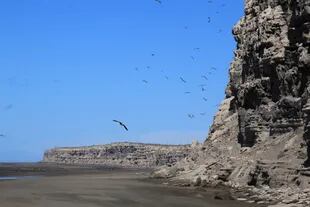 El Condor, la playa rionegrina donde habita una gran colonia de lobos barranqueros. En los últimos tiempos muchos murieron por falta de comida