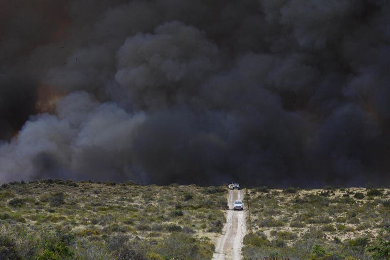 En Puerto Madryn, el fuego consumió entre 80.000 y 90.000 hectáreas
