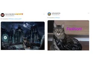 Algunos de los memes de los usuarios después de ver la foto del gato