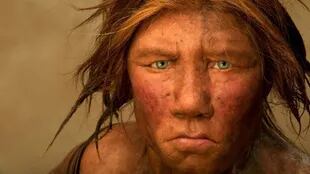 Zilhão dice que los neandertales y los humanos modernos no son especies diferentes