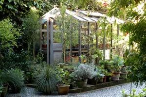 Cómo construir un invernadero en tu jardín, patio o terraza