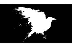 El Cuervo, ese poema de 9 dólares que dio forma al legado de Edgar Allan Poe