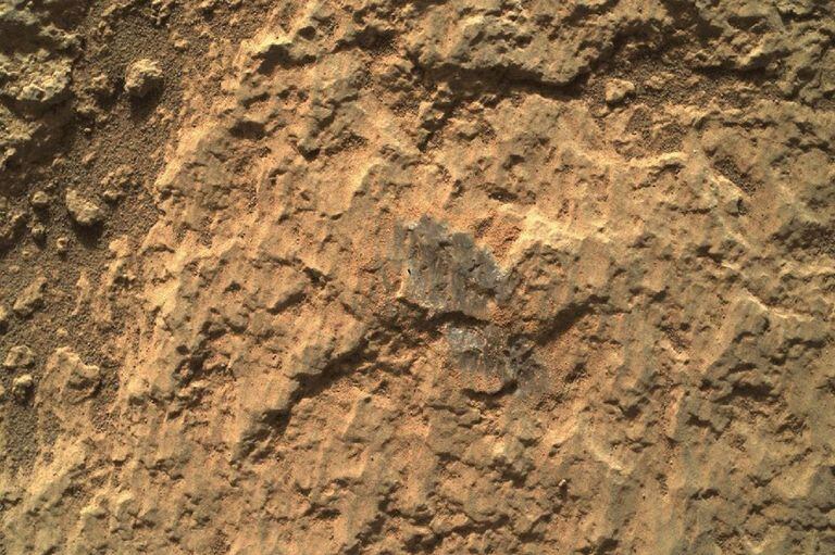 Imagen enfocada de objetivo de roca en Marte