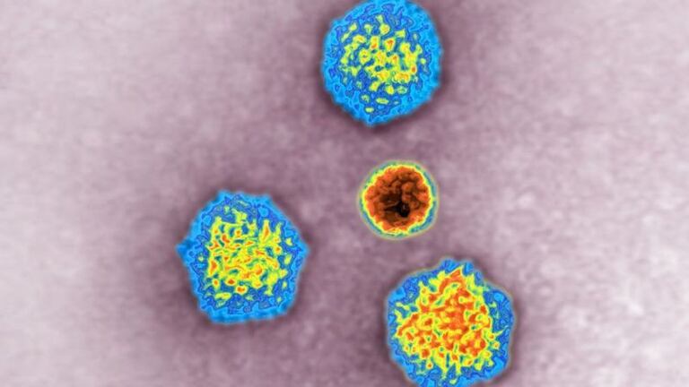 Ya se prueban terapias génicas basadas en adenovirus