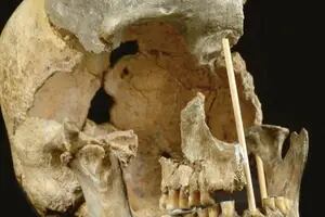La genética encuentra rastro de primeros humanos modernos de Europa