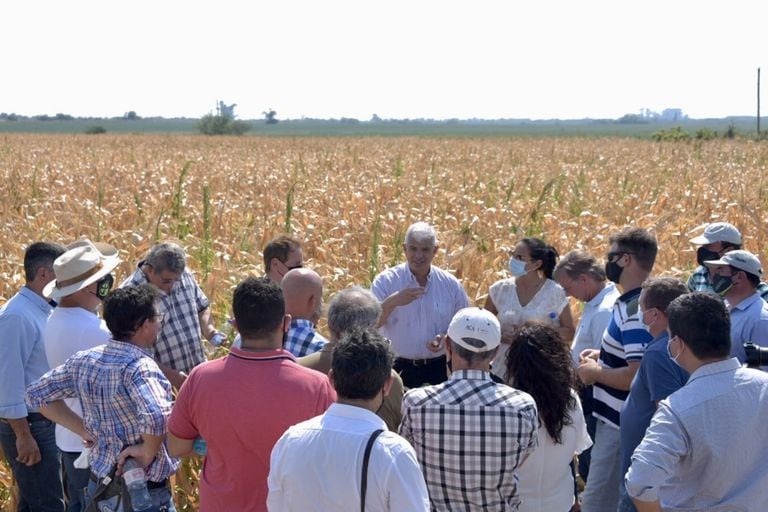 The entities from Cordoba pointed out that the visit of the Minister of Agriculture, Julián Domínguez, to producers affected by the drought were 