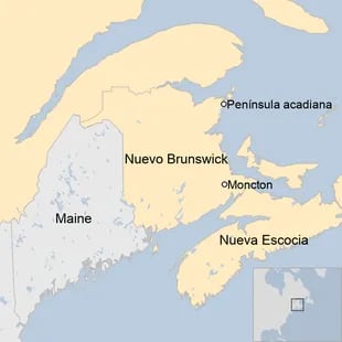 Los pacientes provienen de las áreas de la península Acadiana y Moncton en Nuevo Brunswick