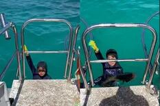 El terrible momento en el que un tiburón atacó a un niño de 8 años que pescaba con su padre