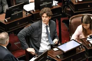 Lousteau apuntó contra los senadores radicales que votaron a favor del DNU