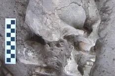 La verdadera historia detrás del hallazgo de los cráneos ovalados que despertó teorías alienígenas