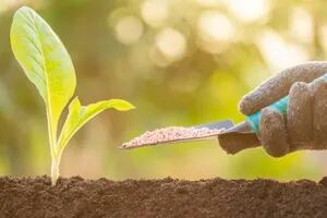Sostenibilidad: los fertilizantes explican más del 50% de la producción de alimentos