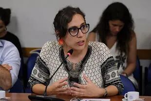 Josefina Mendoza, de la UCR, es una de las impulsoras del proyecto de la oposición