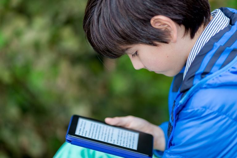 Los nativos digitales disfrutan de la lectura online