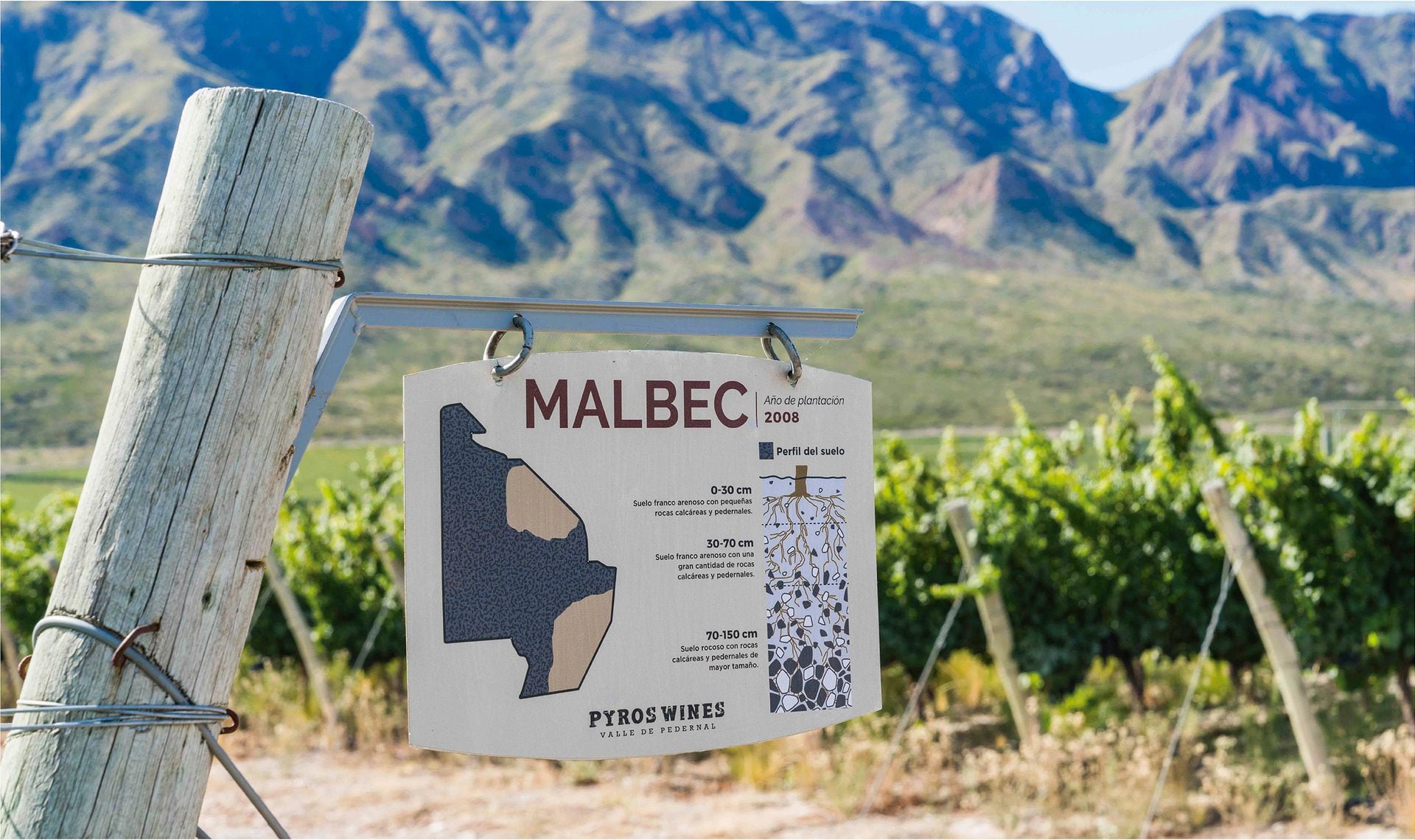 Como varietal o como blend, el Malbec está presente en buena parte de los mejores vinos de la Argentina