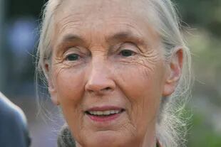 La primatóloga Jane Goodall, otra víctima de la prosopagnosia 