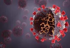Por qué causa preocupación la variante del coronavirus hallada en Sudáfrica