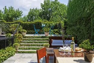 Un inesperado jardín es la grata sorpresa en la terraza de un PH que cautivó a un australiano enamorado de Buenos Aires. Para minimizar la presencia del cemento se alentó a las enredaderas a cubrir las pedadas de los escalones. 