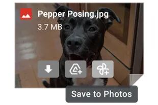 Gmail ahora permite guardar una foto directo en Google Fotos sin tener que descargarla en el dispositivo