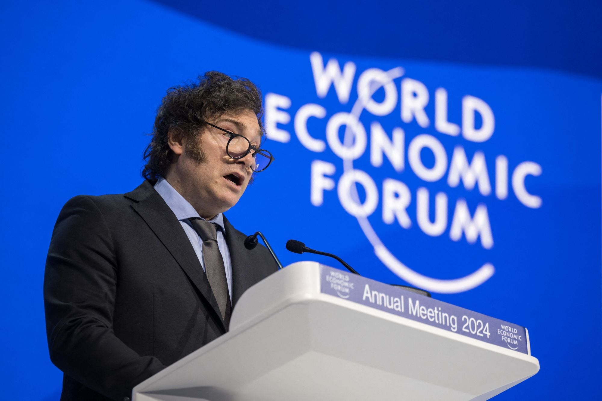 Qué dijo Javier Milei en su discurso en el Foro de Davos