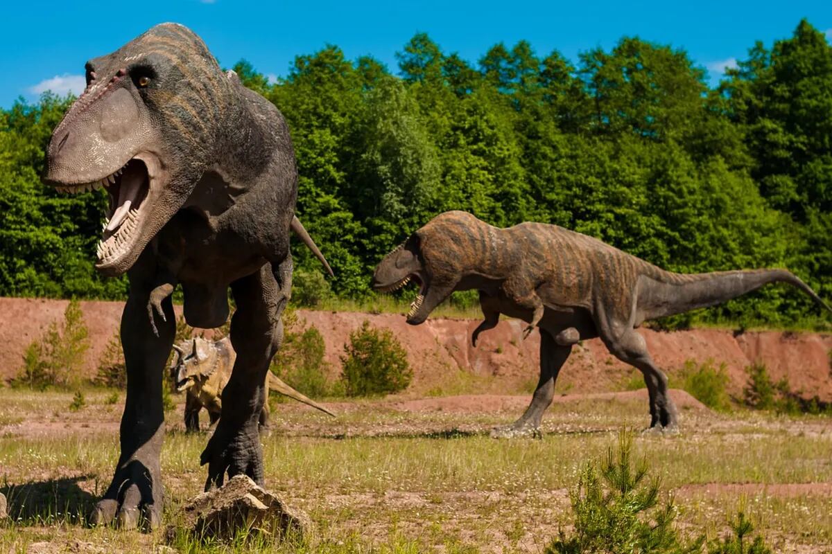 El cáncer que sufrían los dinosaurios hace 77 millones de años y que aún  padecen miles de personas - LA NACION