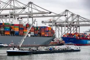 Más de 800 kilos de cocaína fueron descubiertos en el puerto de Rotterdam