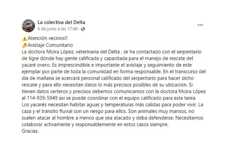 El comunicado de La Colectiva del Delta respecto al yacaré (Foto: Facebook @lacolectivadeldelta)