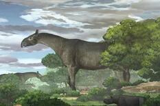 Hallan fósiles del mamífero terrestre más grande de la historia