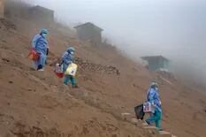 Perú reporta brote de influenza A (H3N2) que deja un muerto