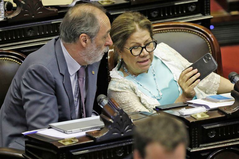 Tonelli junto a la diputada Graciela Camaño, también integrante del Consejo de la Magistratura