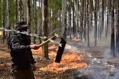 Corrientes: piden que el Ejército ayude en el combate del fuego