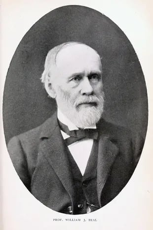 William James Beal, el botánico que enterró las semillas en 1879