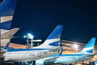 Entre todas las empresas aéreas que operan en el país, Dietrich calcula terminar 2019 con 16,6 millones de pasajeros transportados en cabotaje y 15,2 millones en vuelos internacionales