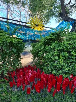 La instalación con “tulipanes” rojos en el jardín del Museo Sívori busca generar conciencia sobre que, en ecología, cada acción individual cuenta